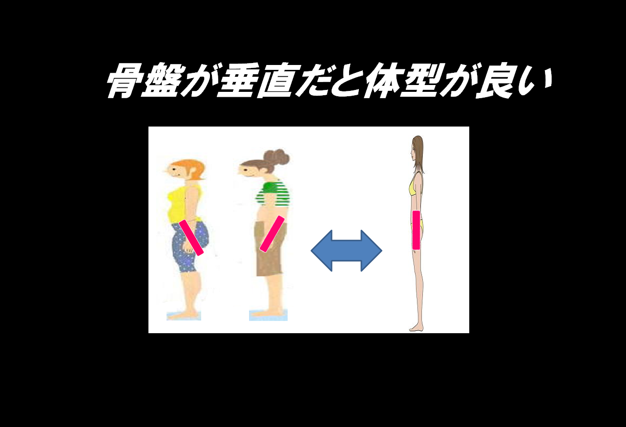 骨盤の違いで体型シルエットだけでなく脂肪のつき方まで変わってくる！骨盤が垂直だと体型シルエットも良くなる。